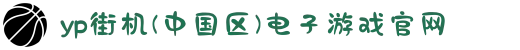 yp街机(中国区)电子游戏官网